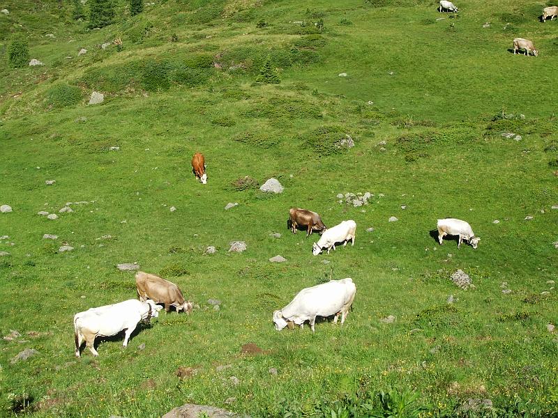 DOLOMITI2009 (214).JPG